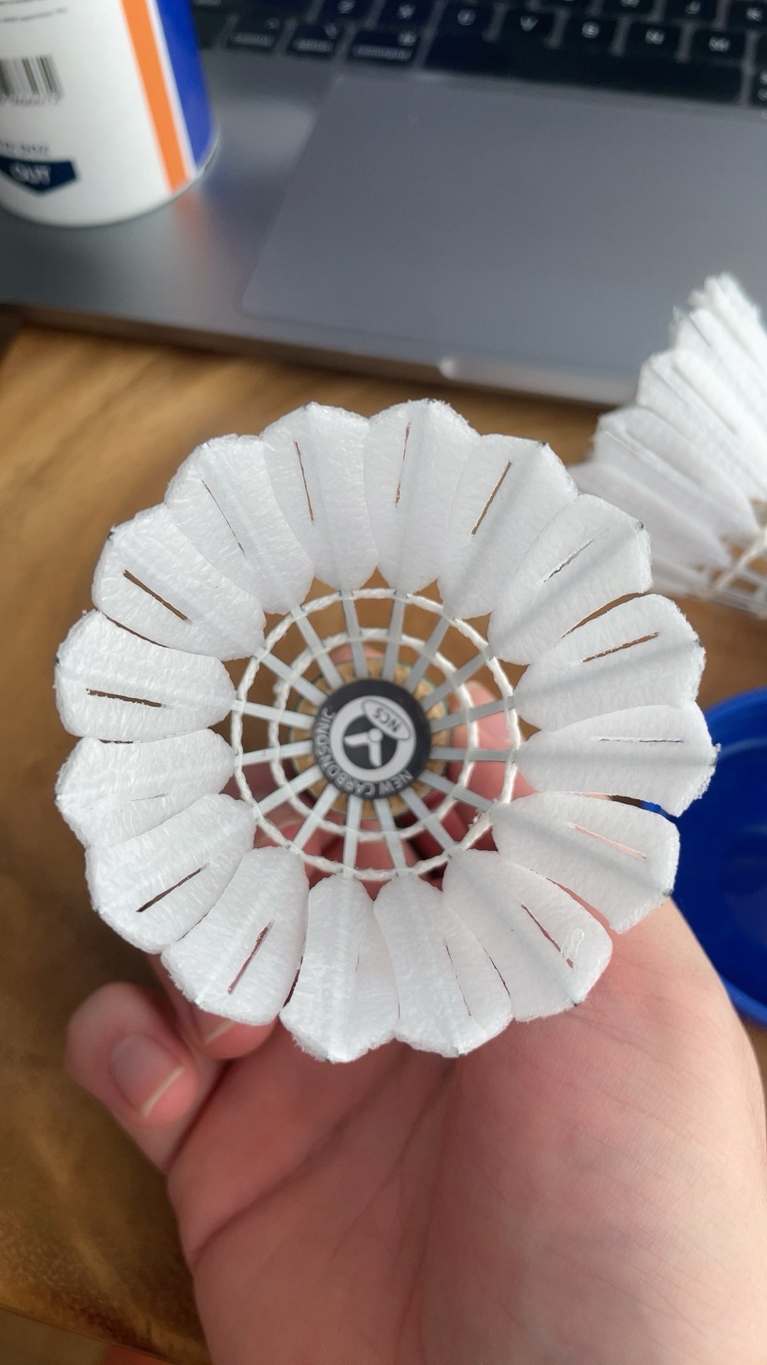 逐属于自己 逐属于自己